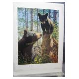 AP Stumpjumper by Bruce Miller