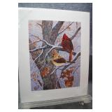 Misty Morning - Cardinals by Jeff Renner