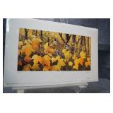 Maple Dwellers by Jeff Renner