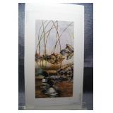 Reflections by Jeff Renner