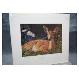 AP Wildflowers by Bruce Miller