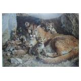 Carl Brenders "Rocky Camp/Cougar Family" Low #