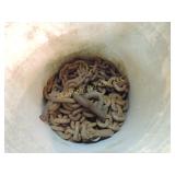 Bucket of Chains