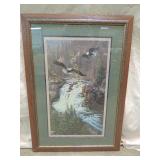 Framed Bald Eagle Print