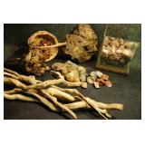 Petrified Wood & Agates