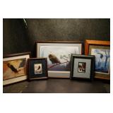 Variety of Eagle Prints