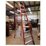 Werner 10 Foot Ladder