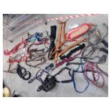 Horse Tack & Grooming Lot