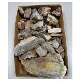 Box Of Petrified Wood - Largest 11"