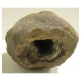 Fossilized Dinosaur Egg - Per Consignor
