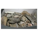 Box Lot of Petrified Wood