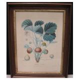 Frasier Souchet Picture Framed Florals 19