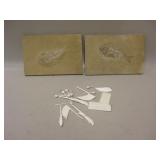 2 Fossil Fish & Asst 2 Fossil Fish & Asst