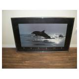 36" x 24" Framed Dolphin Photo Print