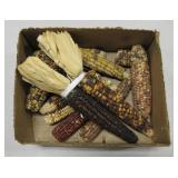 Native American Heirloom Tri-Color Corn