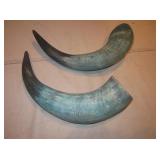 Pair Of Green Painted Bovine Horns - About 12"