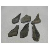 Lot Of Megalodon Teeth Fragments