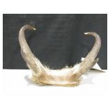 8 x 10.5 Prong Horn Antelope Knife Stand