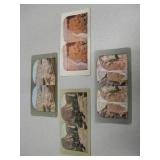 Vintage Steroscopic National PArk Card Lot