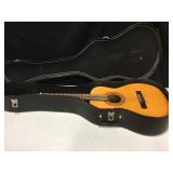 Delta DN-65 Acoustic Guitar w/ Case