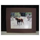 Matted Mare & Foal Photo - 24" x 20"