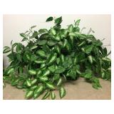 38" Large Planted Faux House Plant
