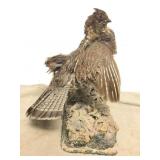 Vintage Ruffed Grouse Taxidermy Bird Mount