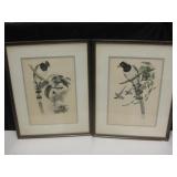 2 Vintage Gould & Richter Bird Prints 2 Vintage Gould & Richter Bird Prints