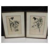 2 Vintage Gould & Richter Bird Prints