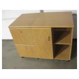 2 Matching Rolling Office Cabinet & Storage Pieces