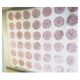 Vtg Cotton Morning Glory 12 Degree Stitched Quilt