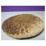 Disc Shaped Rock Speciman