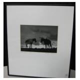 14" x 16" Framed & Signed Photo - New Mexico 1945