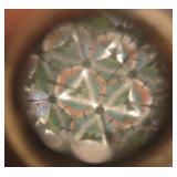 Revolving Musical Kaleidoscope 8.5" X 11" - Works