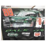 Dale Earnhardt Jr Fleece Throw