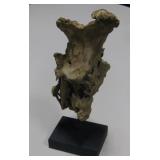 12" Tall Wormwood On Display Base