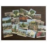 19 Various Vintage S.W. Fauna / Landscape Cards