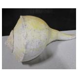 10.5"L White Yellow w/ Black Spotting Conch Shell