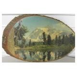 20" x 13" Rocky Mountain Tree Section Picture