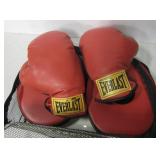 Everlast Family Training Set Boxing Gloves