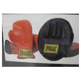 Everlast Family Training Set Boxing Gloves