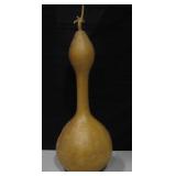 19" Hand Pollinated Gourd