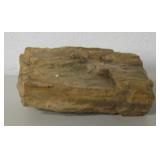 Petrified Wood Section - 6" x 3" x 3"