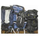 Lot Of 3 Backpacks - CT, JanSport & Alpine