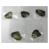 Lot of 5 Oysters, Sealed in Plastic