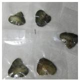 Lot of 5 Oysters, Sealed in Plastic