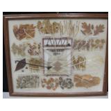 Framed Native American Dye Coloring Chart