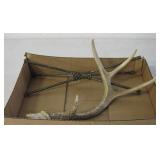 13.5" 4-Point Antler & Metal Decor Stand