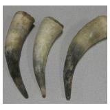 Lot Of 3 - 7" Horns