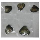 Lot of 5 Oysters, Sealed in Plastic